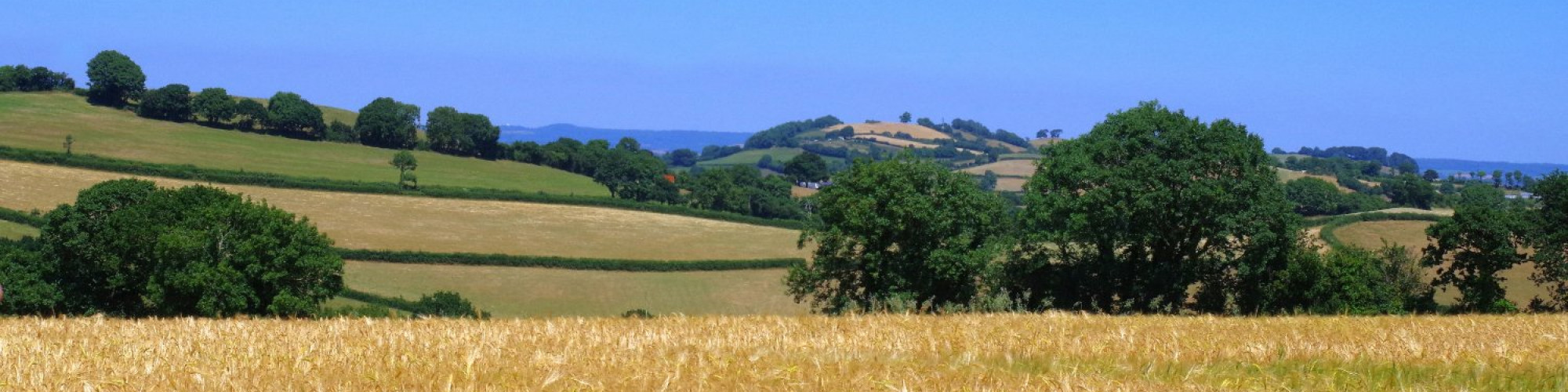 Mole Valley Farmers Ltd