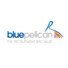 Blue Pelican Limited