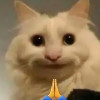 szisjomm