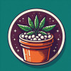 THESUPERSKUNKSEEDS